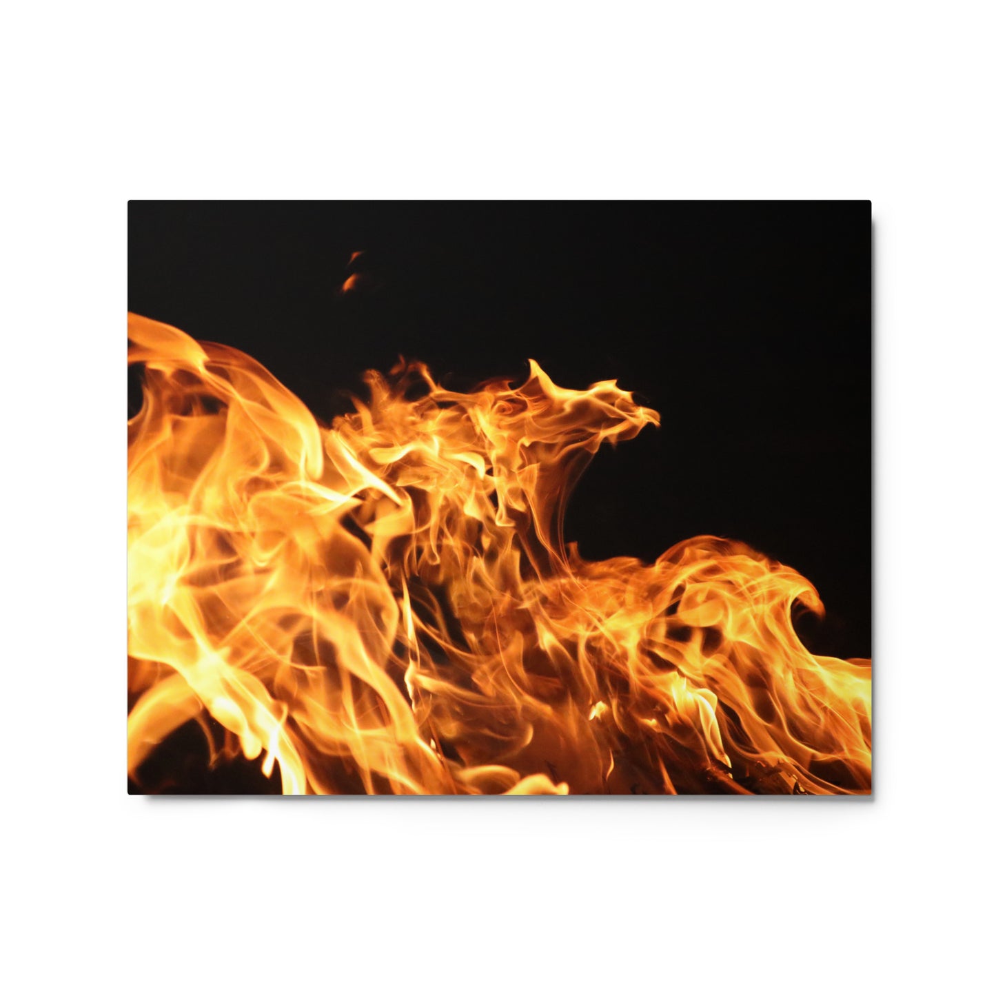 Fire Spirits Metal Print - "The Phoenix" (available only in the USA)