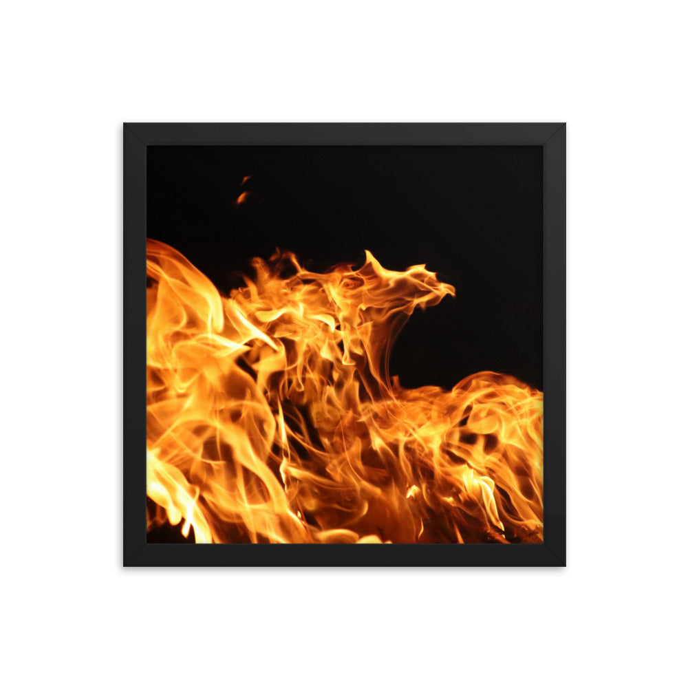 Fire Spirits Framed Photo - "The Phoenix"